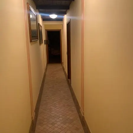Il Fiocinino