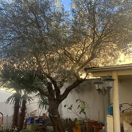 Dal Fiocinino Comacchio