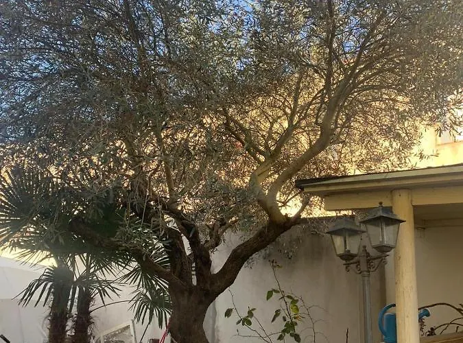 Il Fiocinino Comacchio